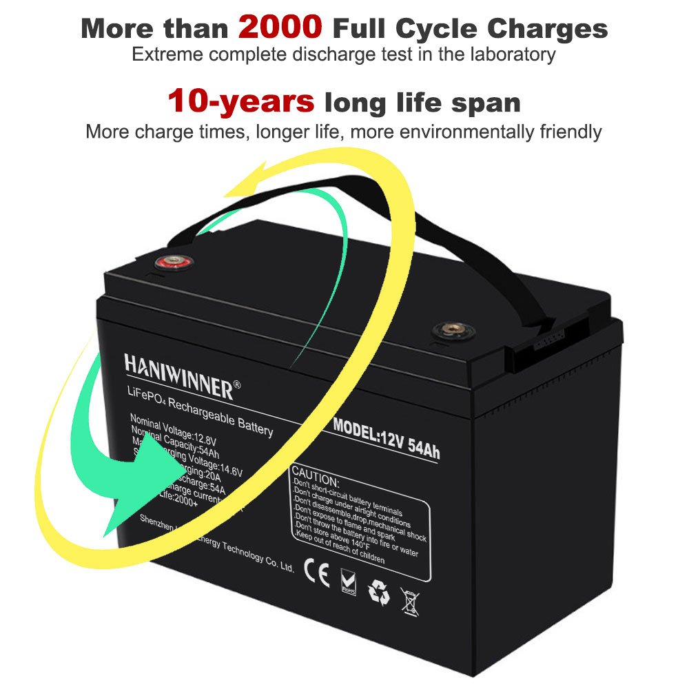 Custom Deep Cycle Lithium Iron Phosphate Battery 300Ah 150Ah 200Ah 100Ah 24V 12V Lifepo4 Lithium ion Battery for Solar System