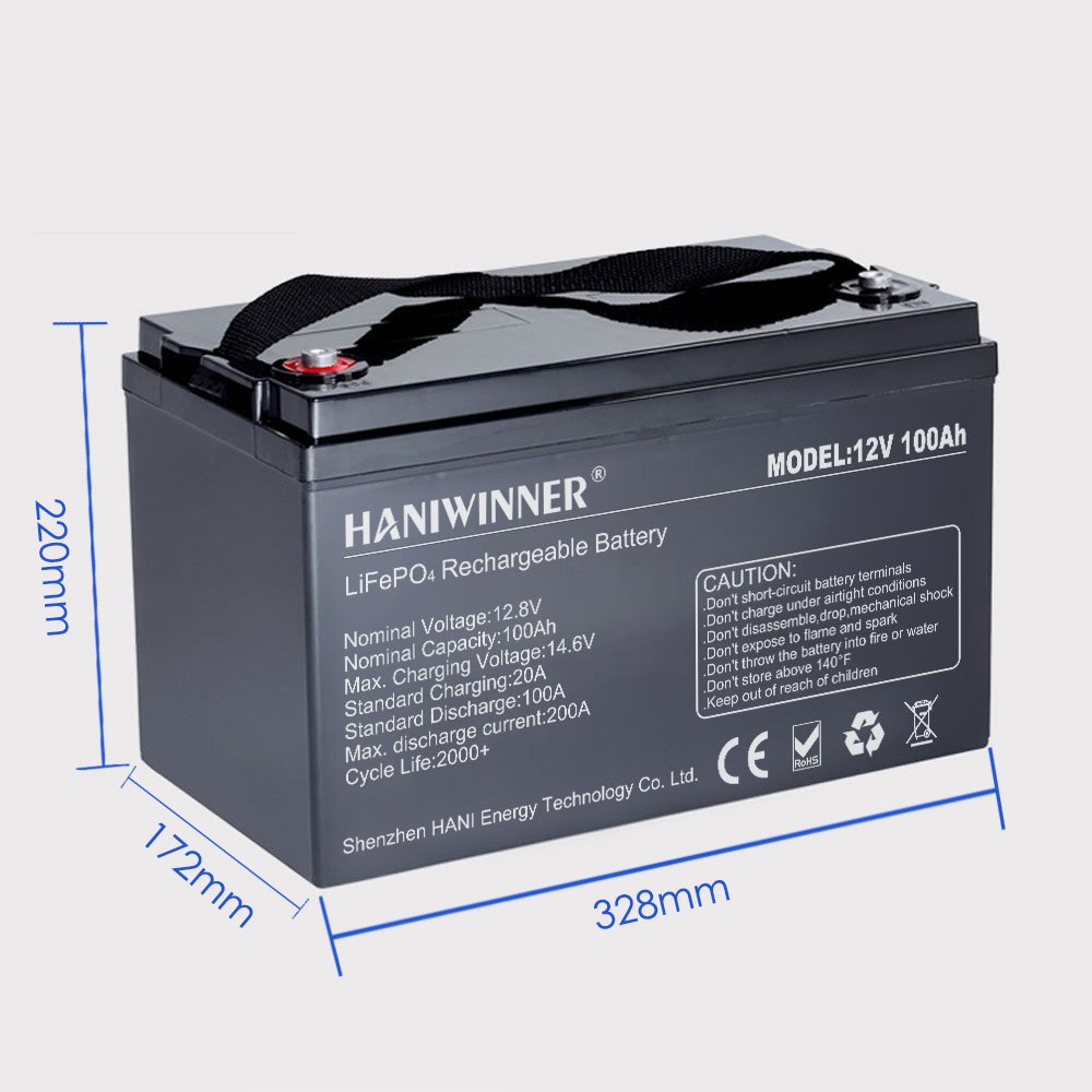 Custom Deep Cycle Lithium Iron Phosphate Battery 300Ah 150Ah 200Ah 100Ah 24V 12V Lifepo4 Lithium ion Battery for Solar System