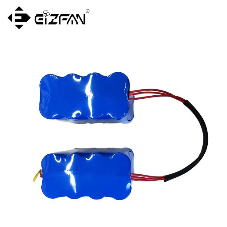 OEM 12V type c battery pack,energy storage battery,lithium ion batteries pack wholesale for E-Sooter