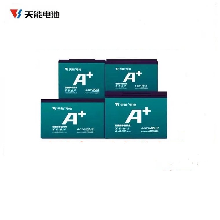 Tianneng Battery 12V12 Plates Lead Acid Battery Charger for Lead-Acid Cell