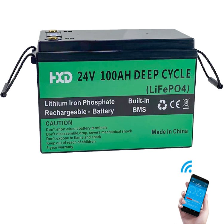 24v 100ah Lithium Ion Battery Charger Case Solar Lifepo4 Golf Trolley Lithium Phosphate Battery 100ah Capacity LFP Anode