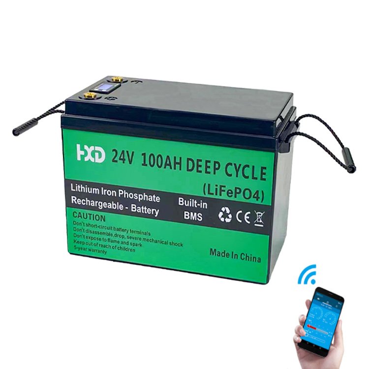 24v 100ah Lithium Ion Battery Charger Case Solar Lifepo4 Golf Trolley Lithium Phosphate Battery 100ah Capacity LFP Anode