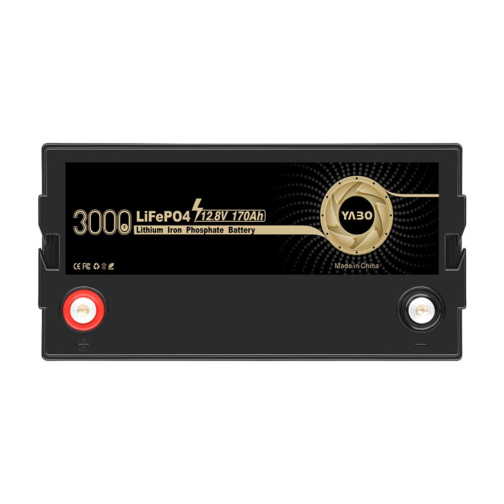 Long cycle cheap Lifepo4 12v 24v 36v 48v 100ah 170ah rechargeable Lithium ion batteries energy storage bateria lifepo4