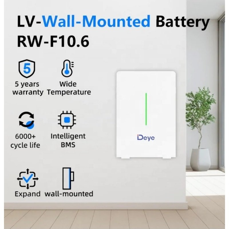 High Capacity Deye Rw-F10.6 Renewable Energy Lithium Ion Battery For Home Appliances