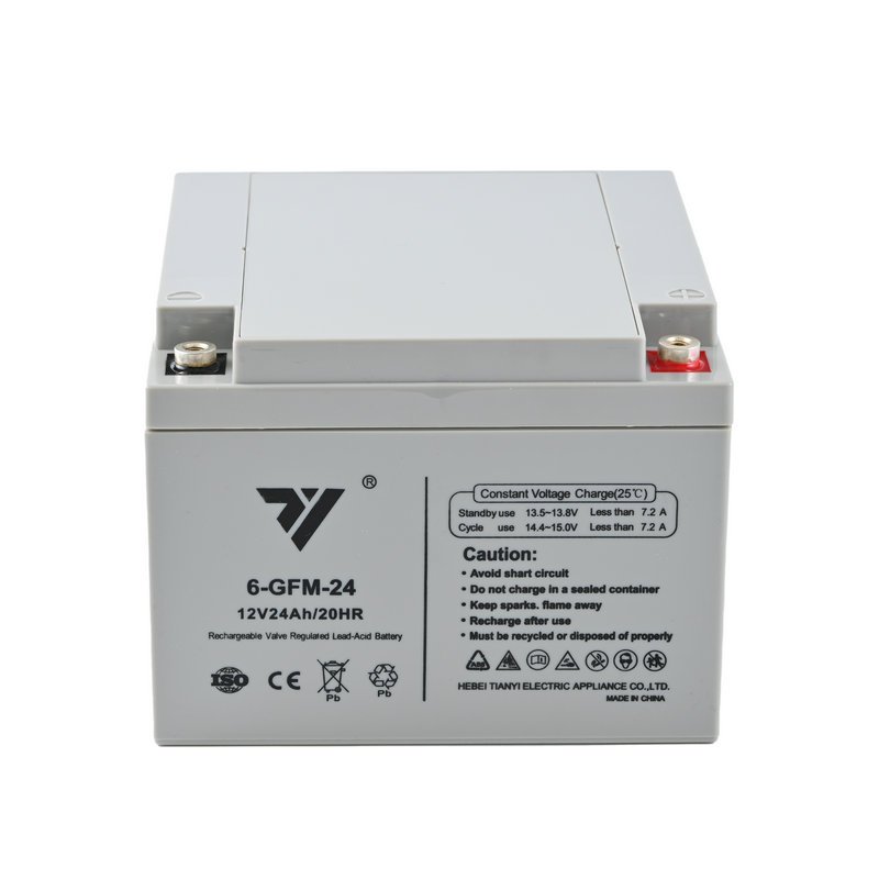 TIANYI Lead-Acid Battery 12V 24AH 20HR Rechargeable Battery For UPS EPS Solar Energy Stored Energy Emergency System