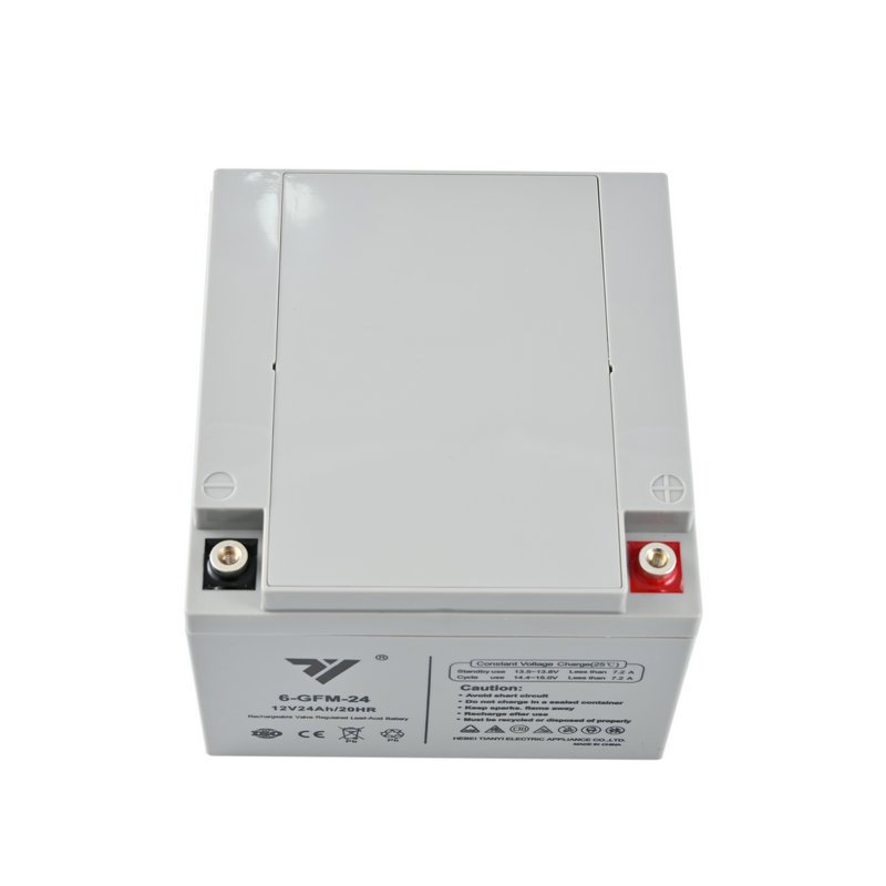 TIANYI Lead-Acid Battery 12V 24AH 20HR Rechargeable Battery For UPS EPS Solar Energy Stored Energy Emergency System