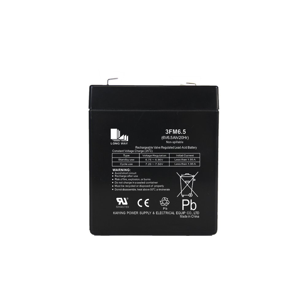 LONG WAY General Series Small Capacity 6V 6.5Ah AGM Vrla Lead-acid Batteries for UPS, Alarm System and Solar System