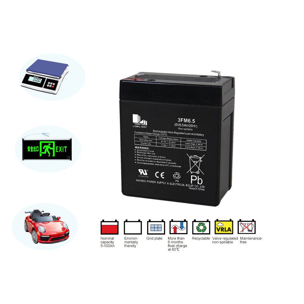 LONG WAY General Series Small Capacity 6V 6.5Ah AGM Vrla Lead-acid Batteries for UPS, Alarm System and Solar System