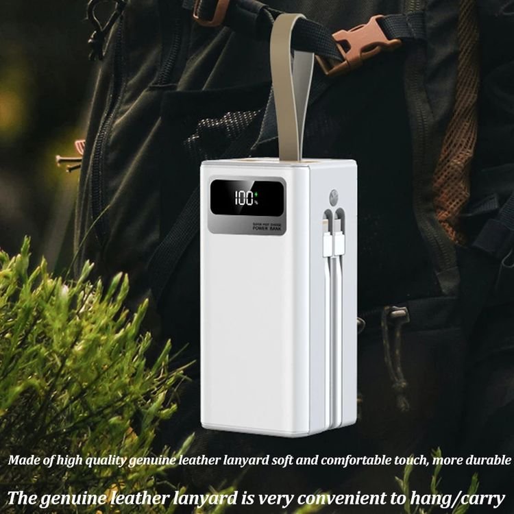 Big Capacity Fast Charger 20w Power Bank 100000mah 80000mah Portable Charger Shared Power Bank With Built In Cable