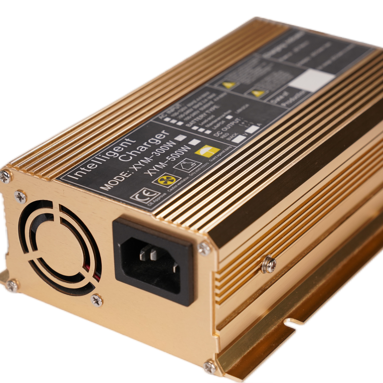 XYM 300W 48V 5A Lithium Ion Battery Charger 12v/24v/36v/48v/52v/60v/72v/84V Lifepo4 battery charger For Ebike/Electric Scooter