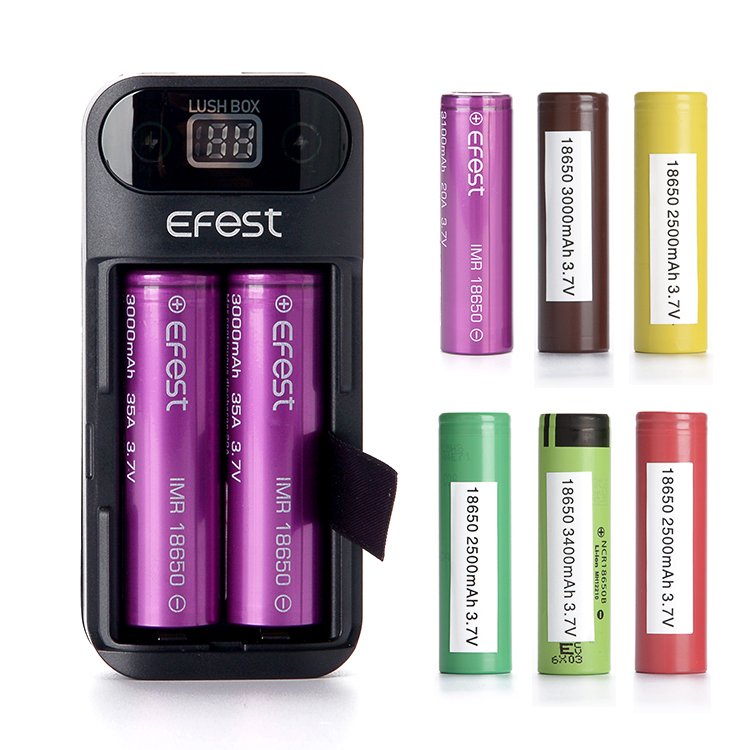 Portable Charger Efest Lush Box Diy 18650 charger 2 batteries mobile phone 5V 1A Fast charging smart charger
