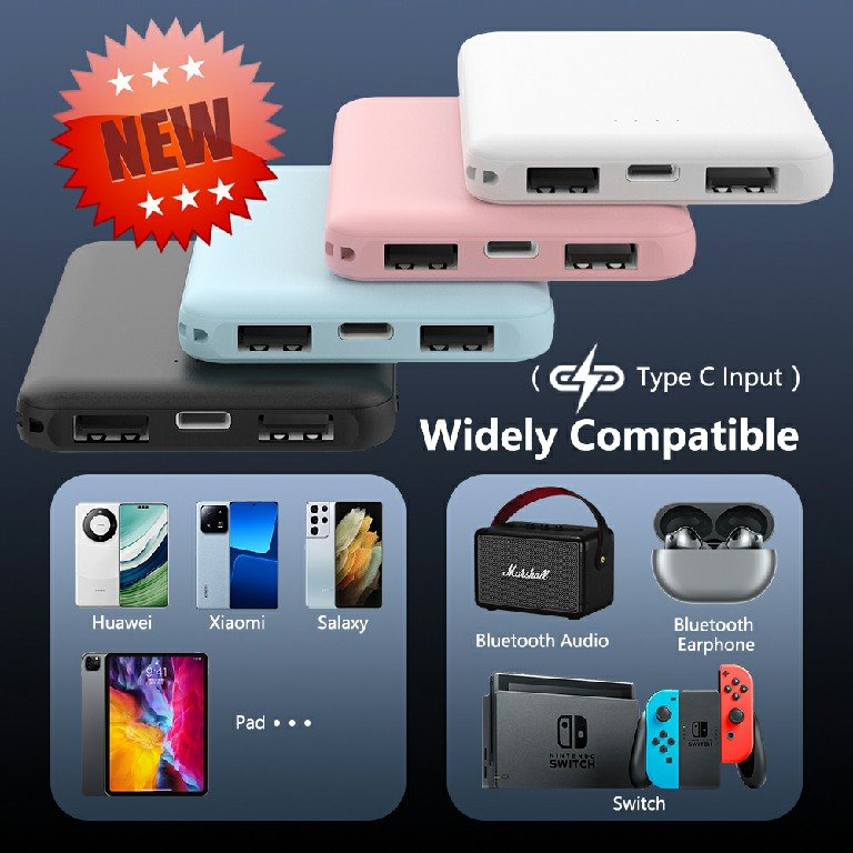 2025 Giveaway Hot Sale Gift Powerbank Type C input port OEM logo for Gift for Travel for Gift Phone Mini Portable Powerbank