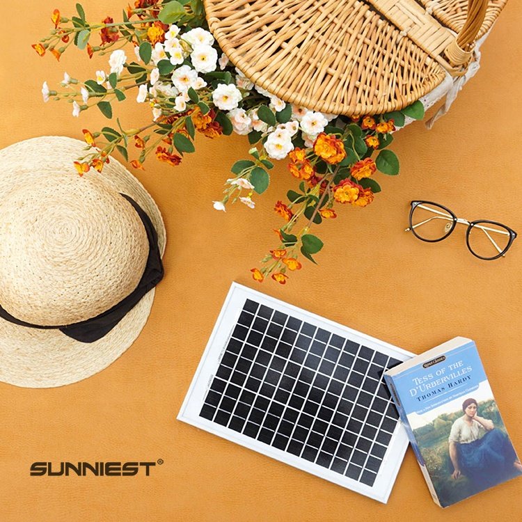 Sunniest customizable economical Sun Power Mini Solar Panels 5W-18V Residential Solar Power Panel 5W Power Charger Solar Panel