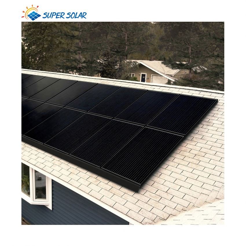 Chinese Supplier Purchase Wholesale Rec Black Solar Panels
