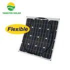 Yangtze solar Photovoltaic 100w solar Panels Flexible solar Panels