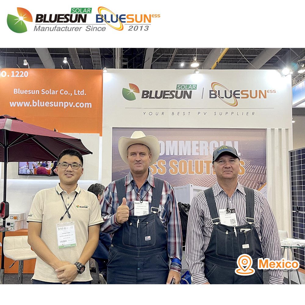 Bluesun EU Warehouse 565W Solar Panel 610W Quotes Home Use Bifacial Solar Panel Plate Type for Solar Energy System