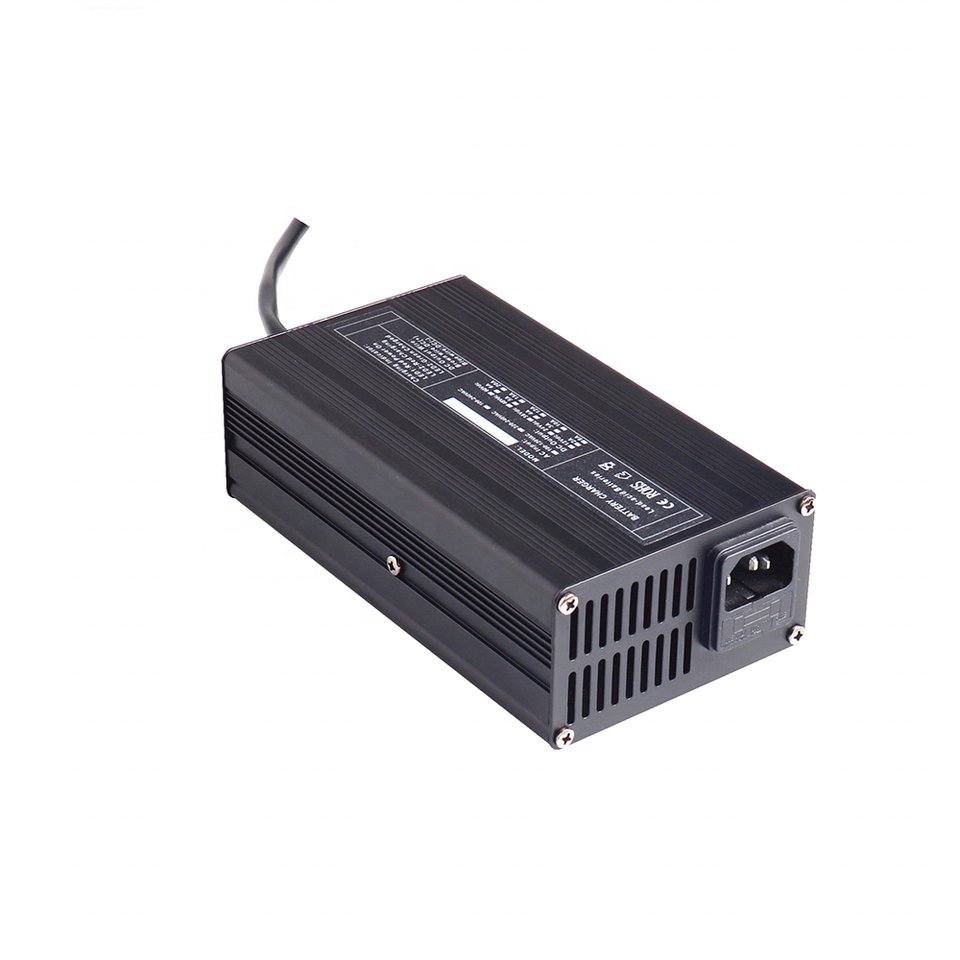 Custom logo Portable Solar E-scooter Ebike Smart E Bike 600W 12V 25A battery charger