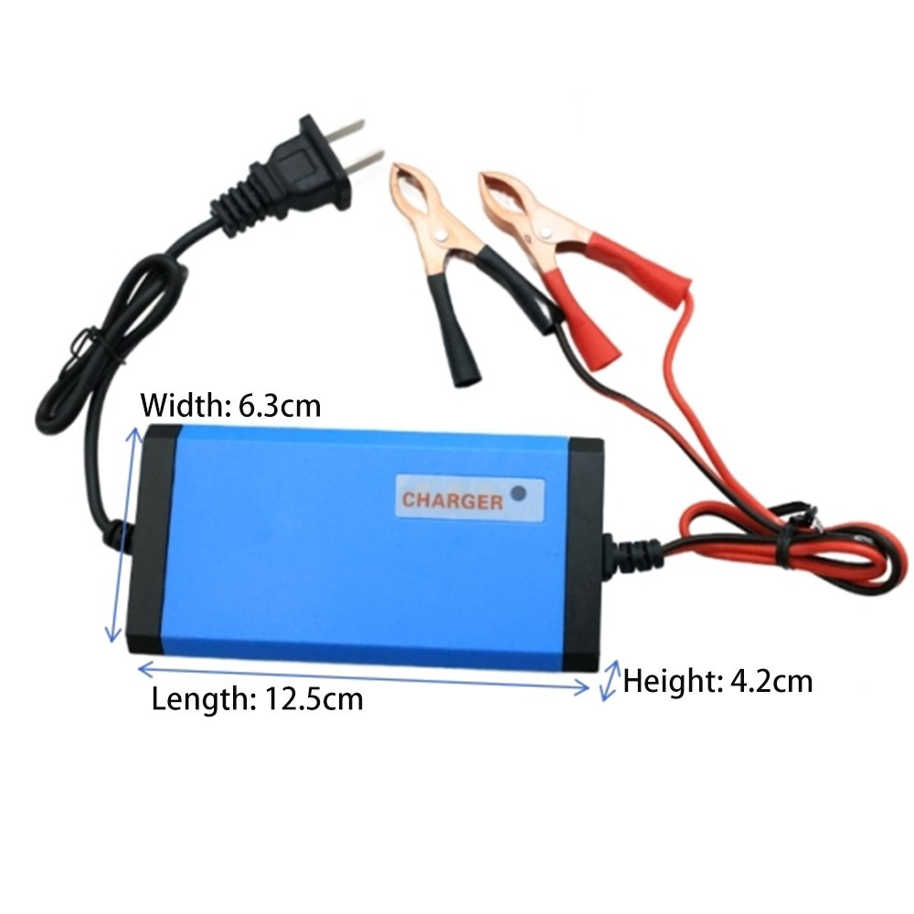 Electric Gardening Electric Sprayer Charger Sprayer For Watering Garden and Spraying Pesticides Lithium Battery Charger