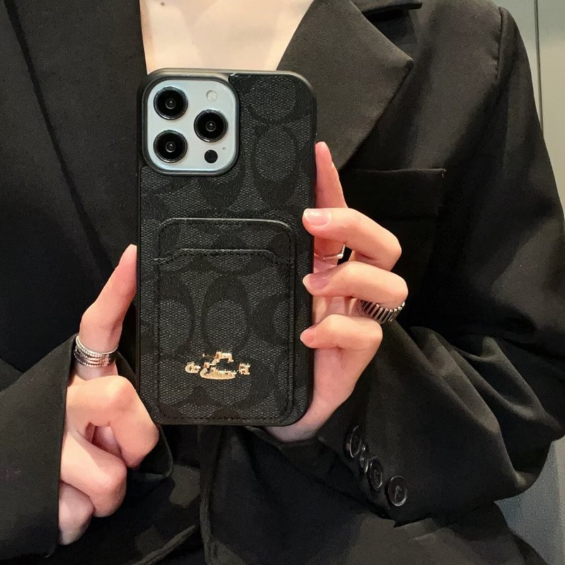 16 15 Pro Max 14 13 Plus 12 Mini 11 Pro Designer Luxury PU Leather Card Slot Phone Case Fashion Cover Magnetic Case Shockproof