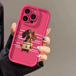 For iPhone12 pro