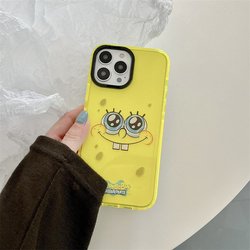 For iPhone12 pro