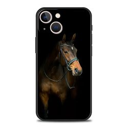 For iPhone X/XS