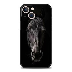 For iPhone12