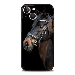 For iPhone12 pro max