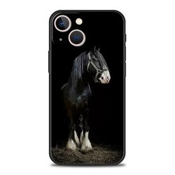 For iPhone11 pro max