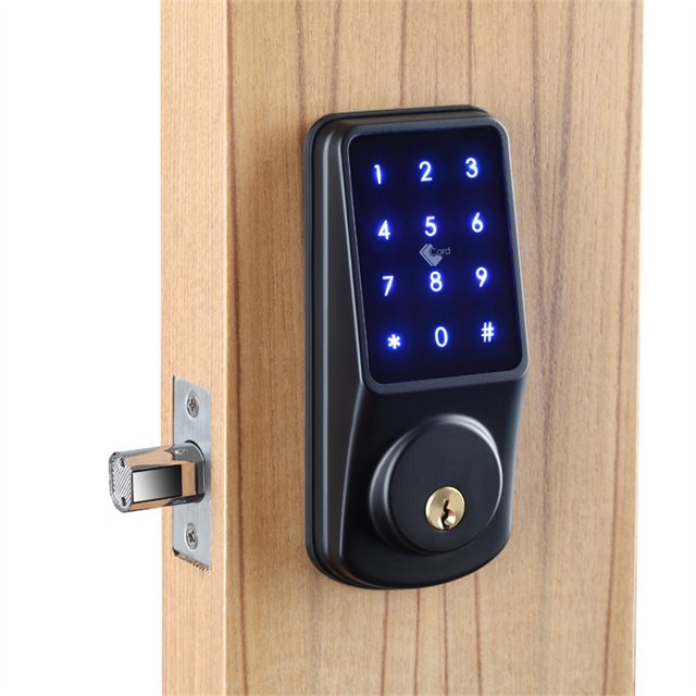 USA Waterproof Outdoor Gate Wifi Digital Front Keyless Smart Electronic Door Locks Tuya App Keypad TTlock Home Smart Deadbolt