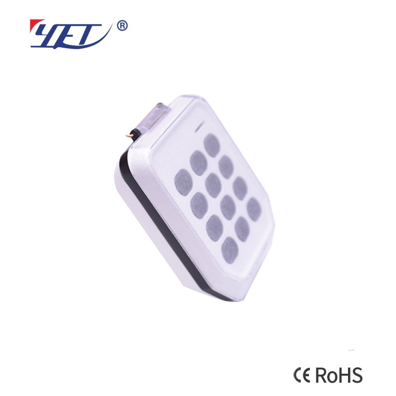 Two Channels Waterproof IP64 Wall Wireless Keypad 0-8 Digits 433mhz Rolling Code Keypad For Door Opener