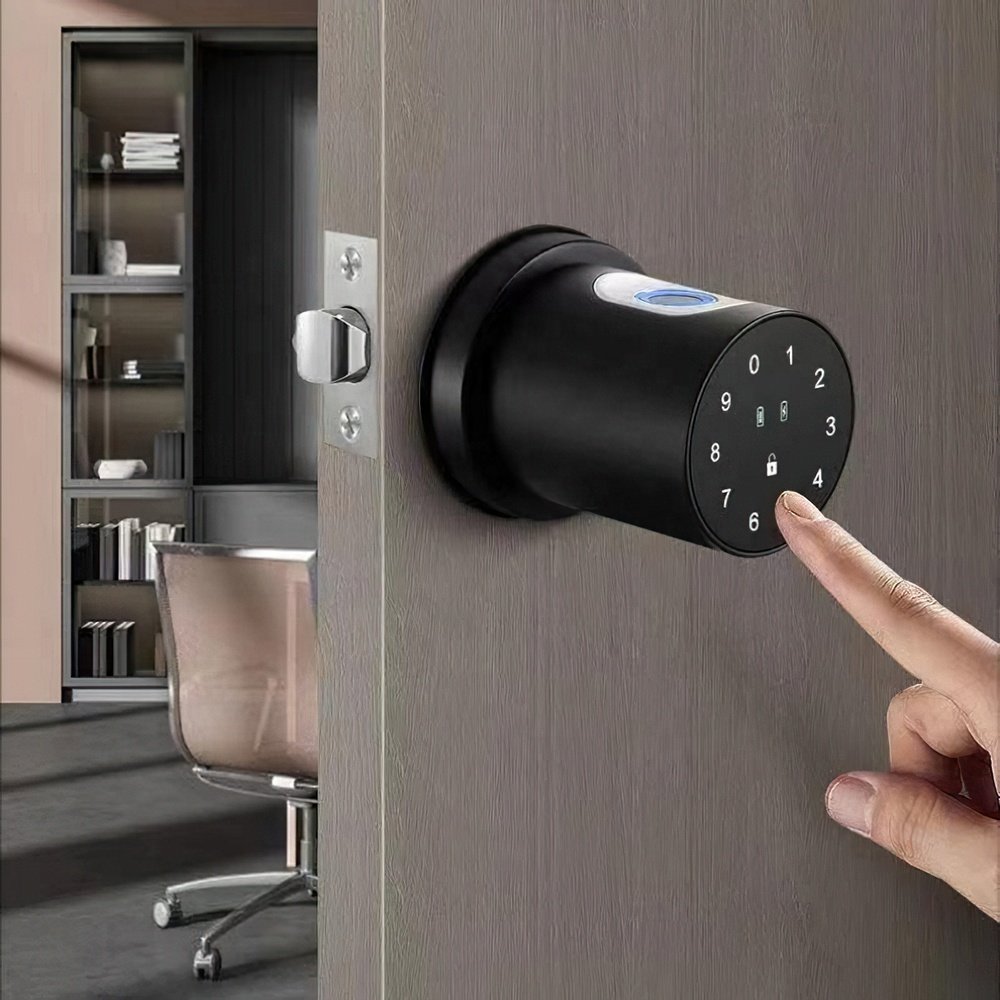 Amazon Simple install Tuya App Automatic Electronic Biometric Fingerprint Digital spherical smart knob home office door lock