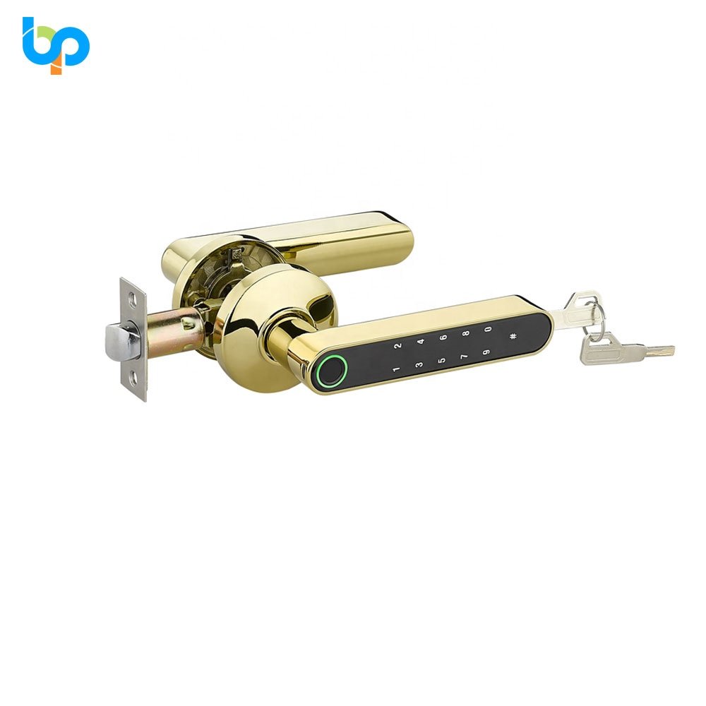 Smart Door Lock Wifi Tuya Wifi Ble App Electronic Keypad Card Fingerprint Door Locks For Home
