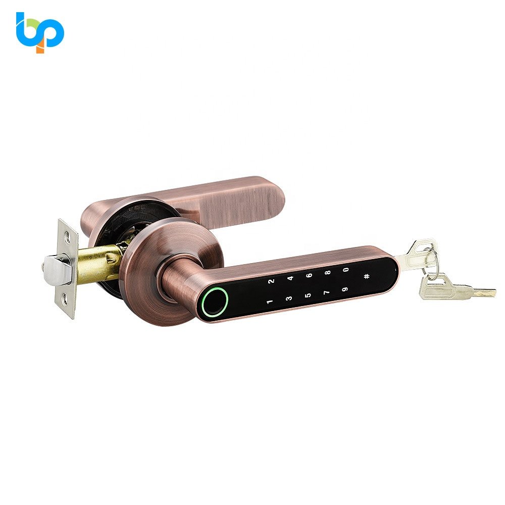 Smart Door Lock Wifi Tuya Wifi Ble App Electronic Keypad Card Fingerprint Door Locks For Home