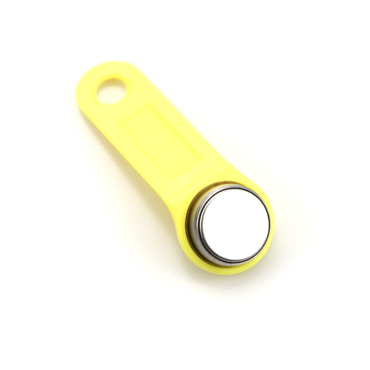 Cheap Price Rewritable Touch Memory RW1990 IButton Key