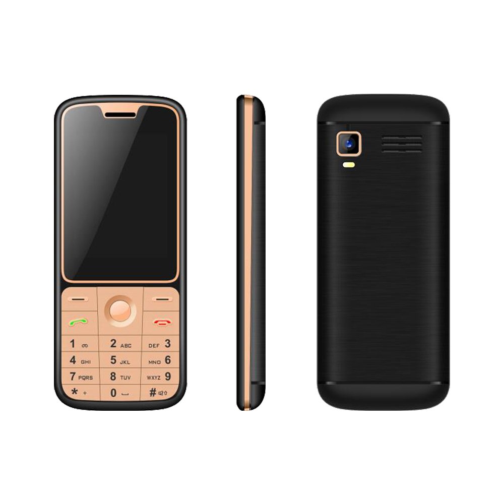 DG2401 2.4 Inch 2G GSM Unlocked Feature Mobile Bar Phone with Keypad FM BT
