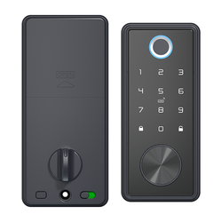 fingerprint+Password+Card+key+Tuya app