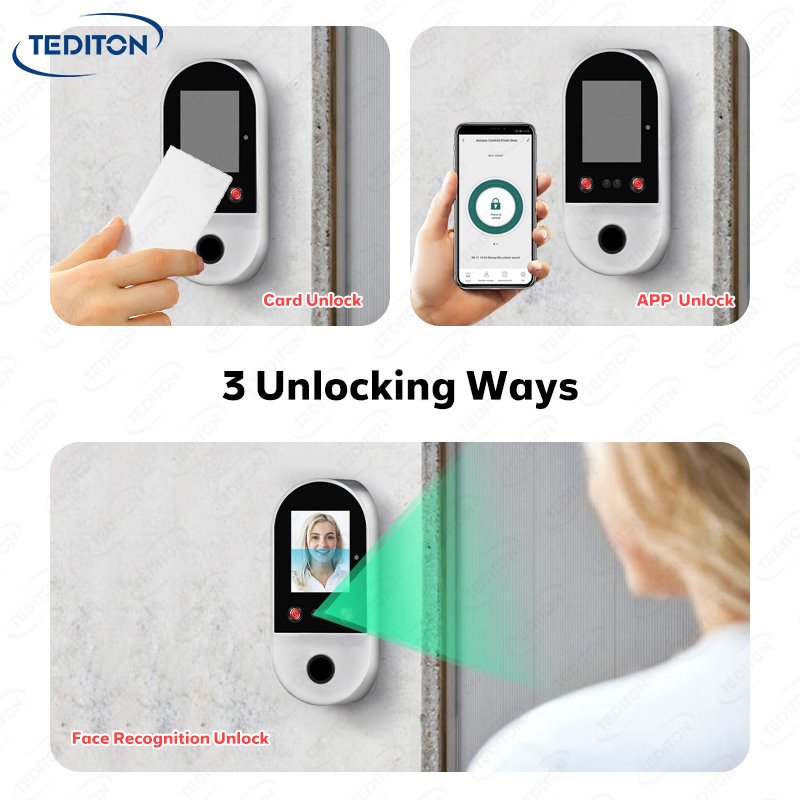 Tediton New Attendance Machine Tuya Smart APP Reader Face Recognition Access Control