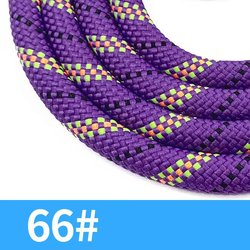 #66