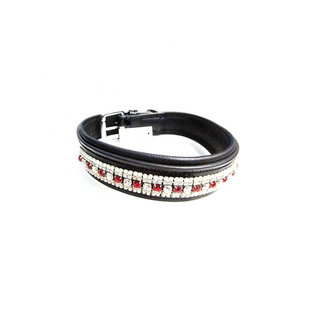 Dog Collars