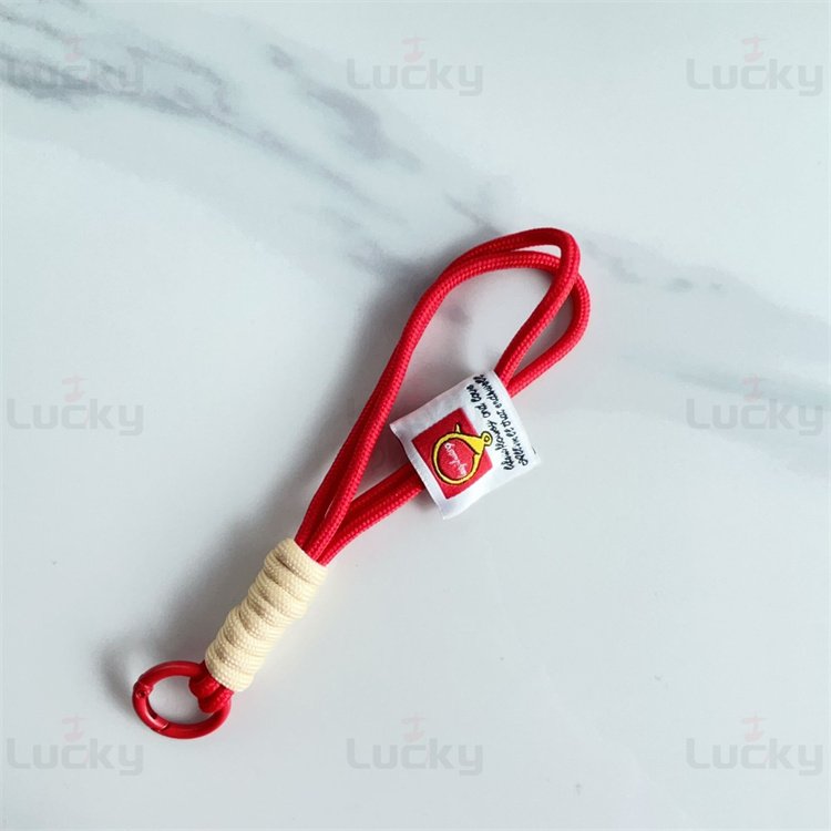 Ins Colorful Pendant Nylon Braided Rope Label Wrist Strap Multi-Purpose Portable Hand Case School Bag Key Mobile Phone Strap