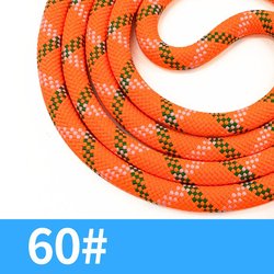 #60