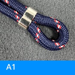 A1