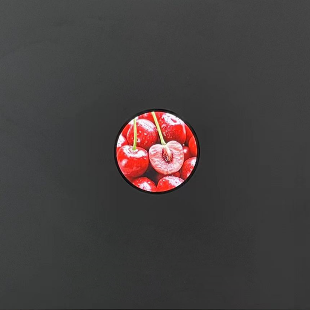 Custom Touch Screen Circular Display 1.6 Inch Lcd Display wearable Smart Watch Touch Monitor Round Lcd Screen Module