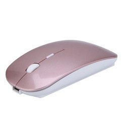 mouse