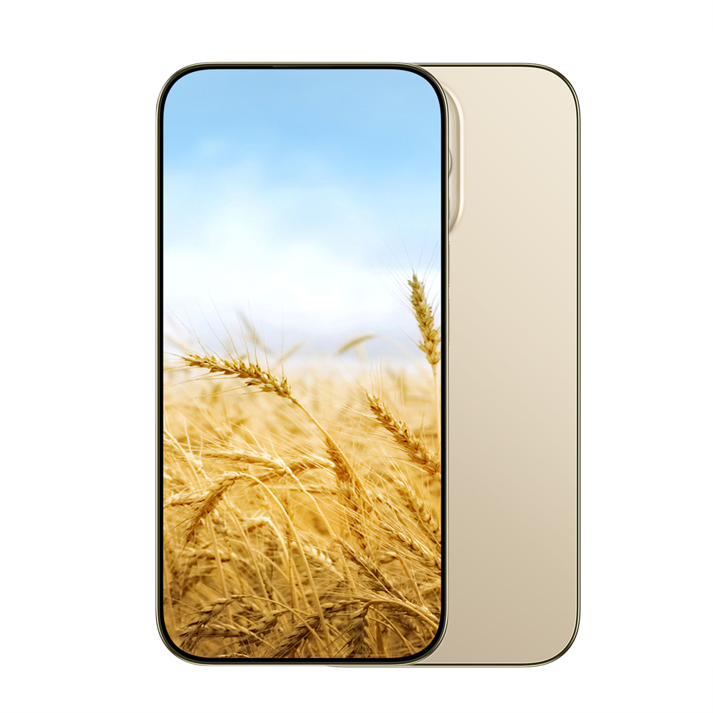 Factory price clone phone 12+512Gb 5g smartphone Dual Sim card cellphones celulares i phon 14 pro max for mobile phones