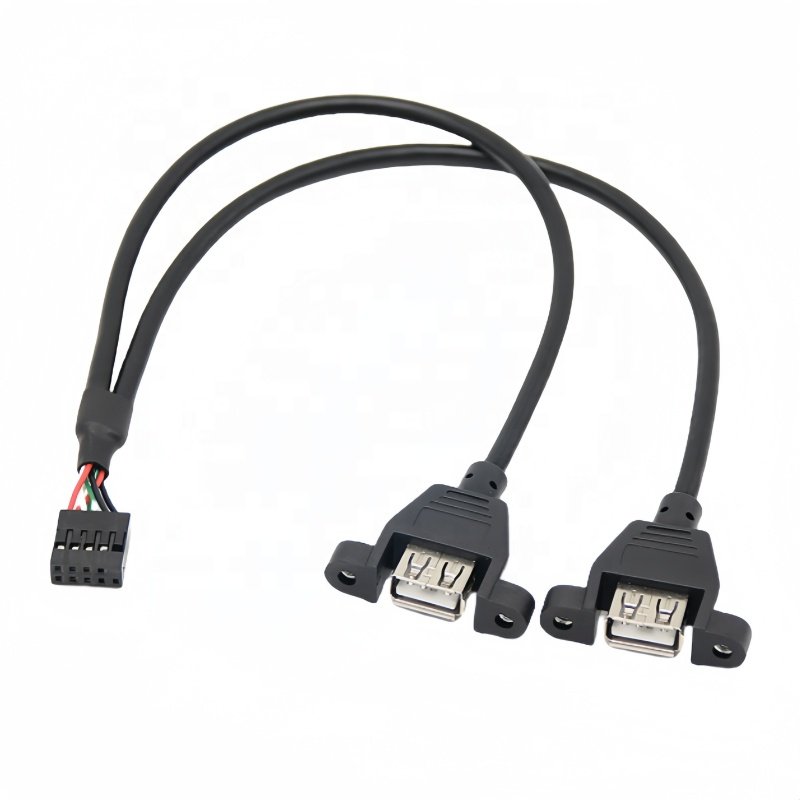 High Quality 30cm Motherboard Internal 9pin Pitch 2.54mm to Dual Port USB 2.0 A Female Screw Lock Panel Mount Cable