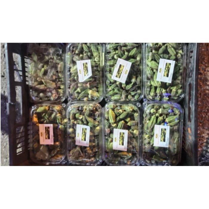 2022 Best Selling Product Food High Quality And Highly Nutritious Green Vegetable Natural Wonderful Delicious Fresh Okra