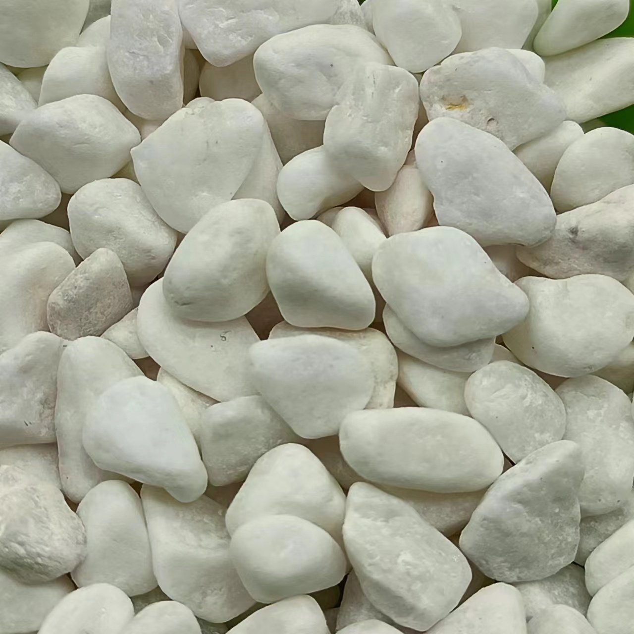 Wholesale price Factory Supply White Pebble Stone