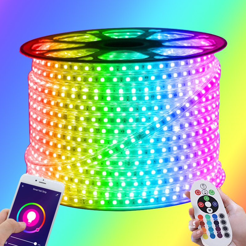 Wholesale110V 220V Color Rgbic Led 100M Roll Smd 5050 120D Decorative Strips Flexible Dmx Dimmable Smart Strip Lights